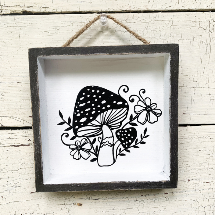 fungi3